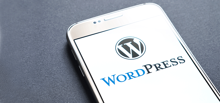 Why-WordPress-Is-The-Leading-CMS-For-SEO